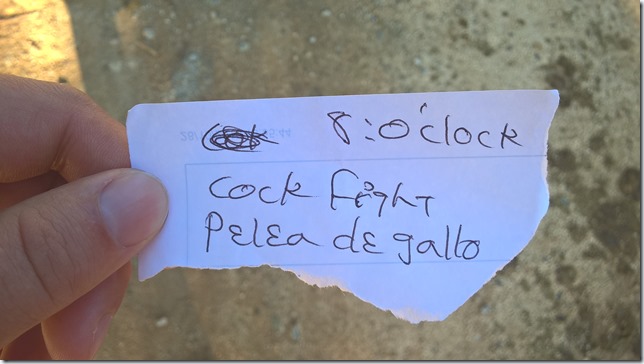 WP_20151101_08_02_05_Pro